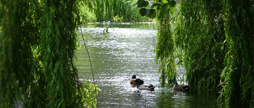 Grand Canal