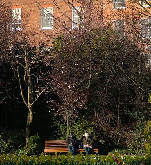 Merrion Square