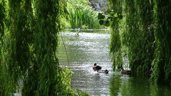 Grand Canal